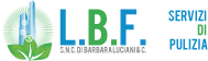 LBF Servizi di Pulizia